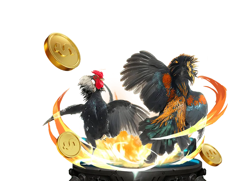 Lịch sử phát triển 55vin